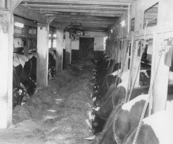 03_Ey Kuhsstall Umbau 19960_03