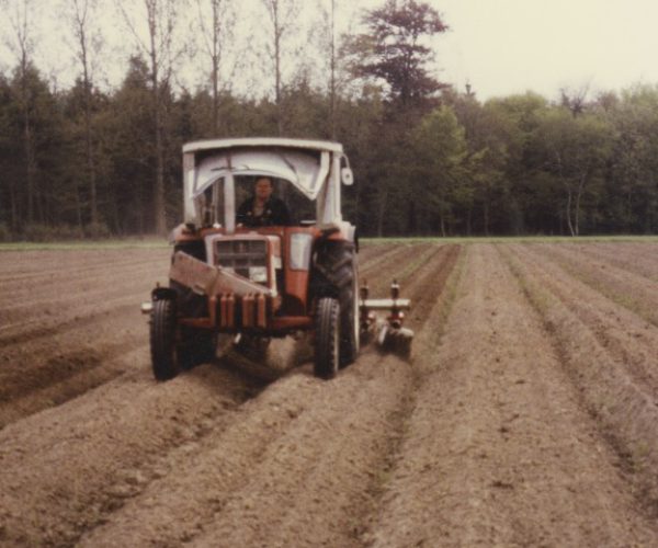 05_1986_Spargel