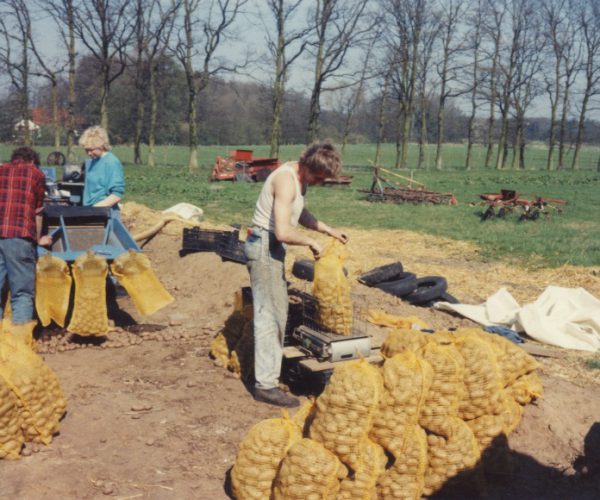 09_Kartoffelanbau