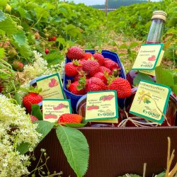 eytjehof_hof_und_familie_Wert_innovation_und_tradition